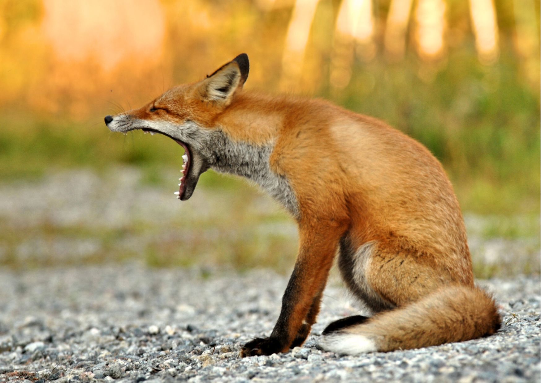 Blog_FeaturedImage_OnFiveKindsOfBoredom